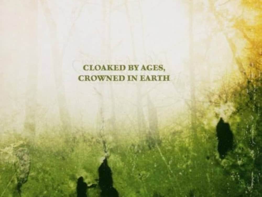 The Mourner’s Oak The Mourner’s Oak