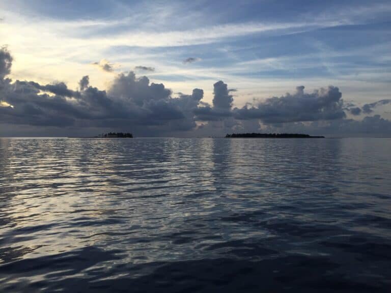 A scenary of loss A scenary of loss